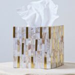 Pearl and Brass Trims Box